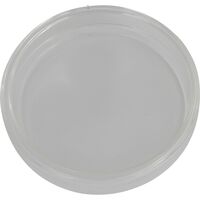 Omegon Petrischale 100 mm Glas mit Deckel