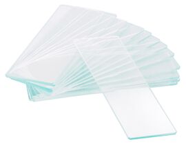 Levenhuk G50 1H Single Cavity Blank Slides, 50 pcs