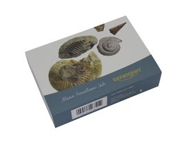 Omegon Mini Fossil Set