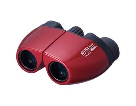 Vixen Bildstabilisiertes Fernglas Bino APC Stabilized 12x30