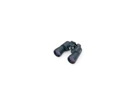 Bushnell Fernglas Frontier HD X 10x42 grau