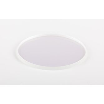 Motic Blaufilter (Ø 45mm) für Durchlicht
