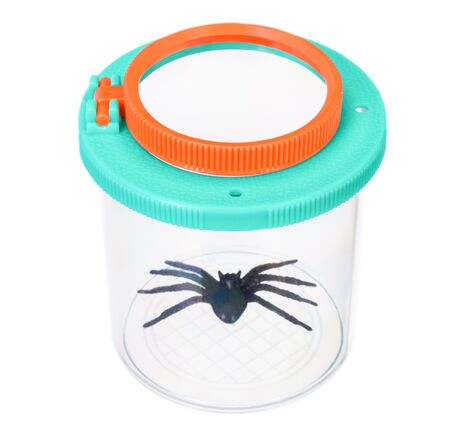 Nádoba na hmyz Discovery Basics CN5