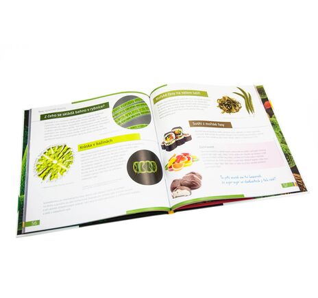 Neviditelný svět. Vzdělávací publikace. Pevná vazba, image-7