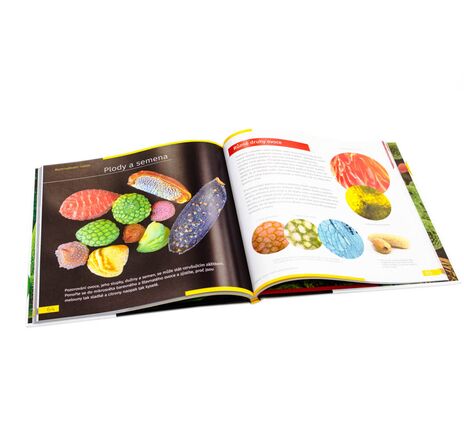 Neviditelný svět. Vzdělávací publikace. Pevná vazba, image-8