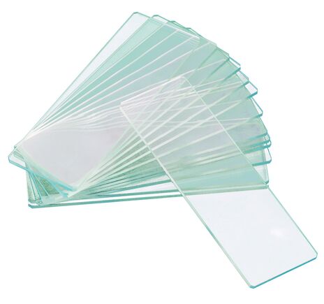 Levenhuk G50 2H Double Cavity Blank Slides, 50 pcs