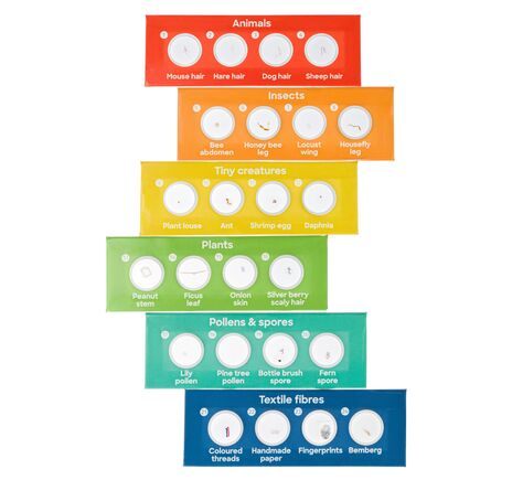 (CZ) Mikroskop Discovery Centi 02 s knížkou, Jazyk: EN, image-14