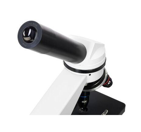 (CZ) Digitálny mikroskop Levenhuk Rainbow D2L 0,3M, Moonstone, Farba: Moonstone, Jazyk: EN, image-6