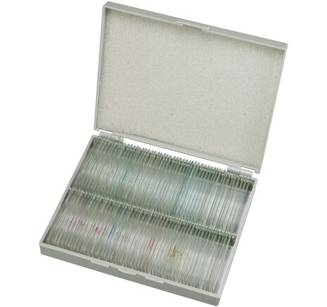 Sada trvalých preparátov BRESSER – 100 ks v plastovom boxe