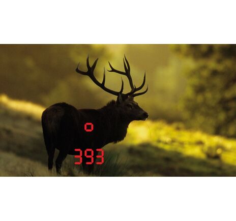 Ďalekohľad LEICA GEOVID 8x56 HD-B, image-3