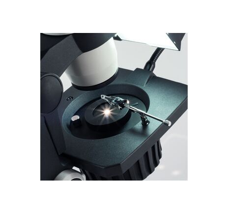 Stereomikroskop Motic GM-168, bino, 7,5-50x, wd 113mm, image-7