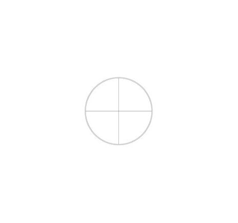 Stereo mikroskop Motic DM-143-FBGG, image-52