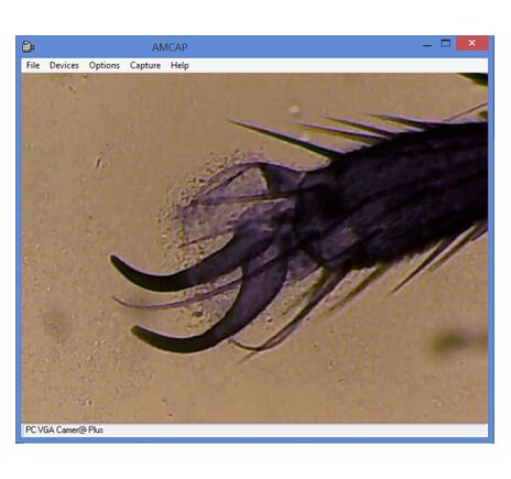 Mikroskop Omegon set, 1200x MonoView, kamera, najpredávanejší úvod do mikroskopie, prípravné zariadenia, image-11