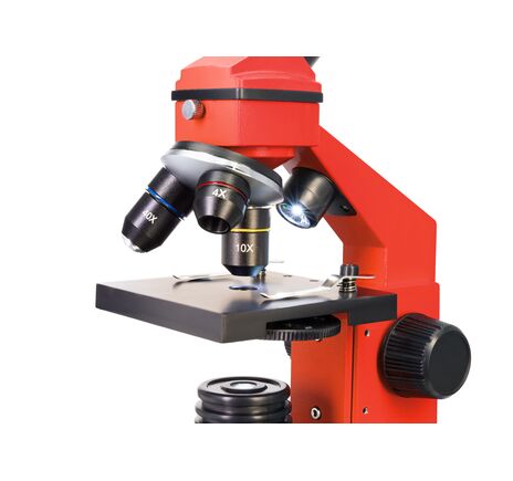 Mikroskop Levenhuk Rainbow 2L PLUS Orange, Farba: Orange, image-9