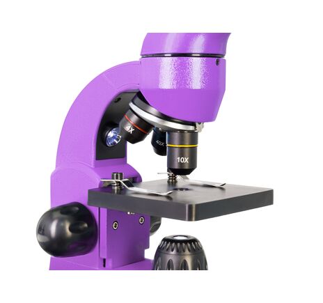 Mikroskop Levenhuk Rainbow 50L Amethyst, Farba: Amethyst, image-13