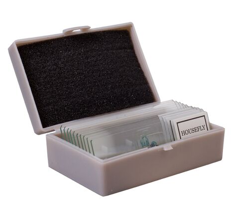 (CZ) Experimentální sada Levenhuk K50, image-7