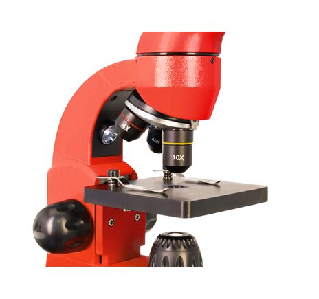 Mikroskop Levenhuk Rainbow 50L Orange, Farba: Orange, image-13