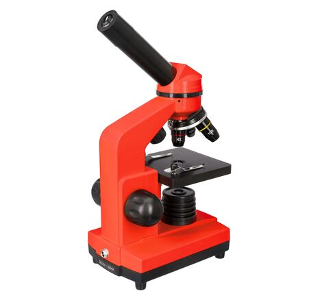 Mikroskop Levenhuk Rainbow 2L Orange, Farba: Orange, image-4