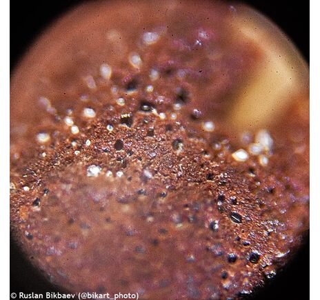 Mikroskop Levenhuk Rainbow 50L PLUS Amethyst, Farba: Amethyst, image-26