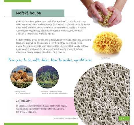 (CZ) Neviditelný svět. Vzdělávací publikace. Pevná vazba, image-6