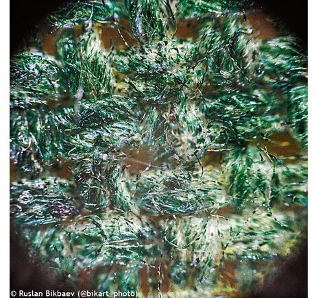 (CZ) Digitálny mikroskop Levenhuk Rainbow D50L PLUS 2M, Moonstone, Jazyk: CZ, image-19