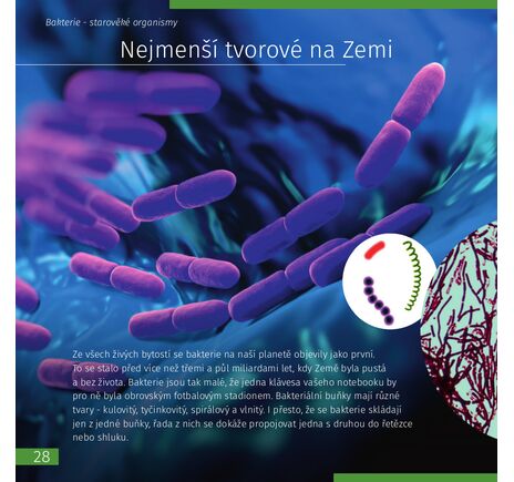 (CZ) Neviditelný svět. Vzdělávací publikace, image-4