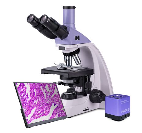 MAGUS Bio D250TL LCD