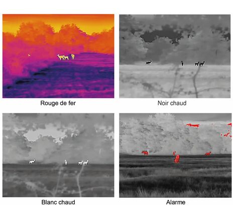 Dahua Pixfra TPC-M60-B25 Termovízia čierna, image-8