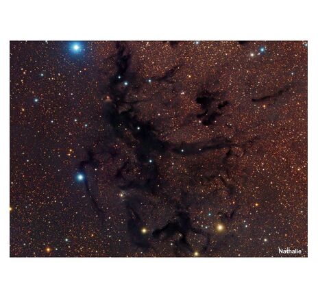 Meade ACF-SC 355/3556 UHTC LX200 - Schmidt-Cassegrain, image-4