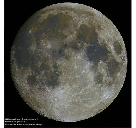 MN 152/731 - Maksutov-Newton, image-5