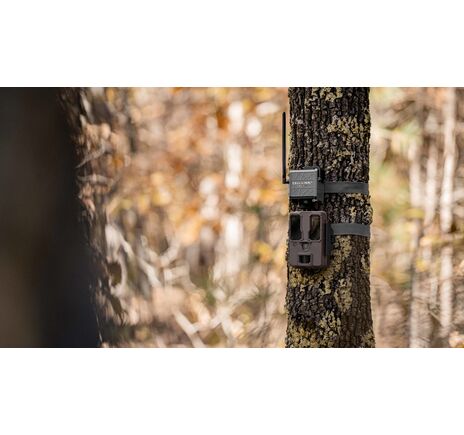 SPYPOINT CELL-LINK premení neodosielaciu fotopascu na odosielaciu   , image-4