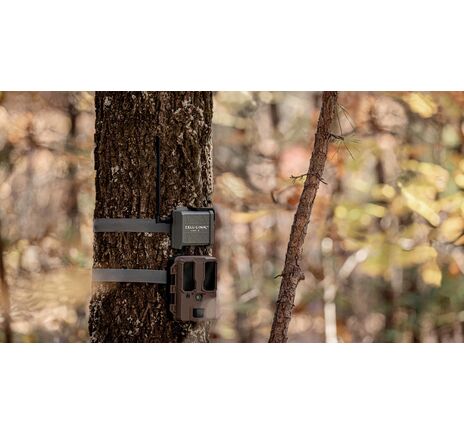 SPYPOINT CELL-LINK premení neodosielaciu fotopascu na odosielaciu   , image-2