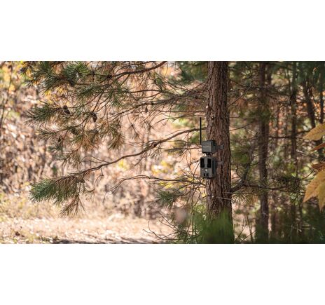 SPYPOINT CELL-LINK premení neodosielaciu fotopascu na odosielaciu   , image-9