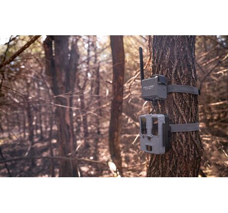 SPYPOINT CELL-LINK premení neodosielaciu fotopascu na odosielaciu   , image-3