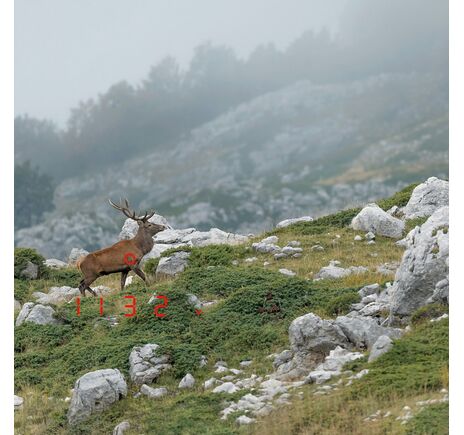 Ďalekohľad Leica Geovid 8x56 R, image-5