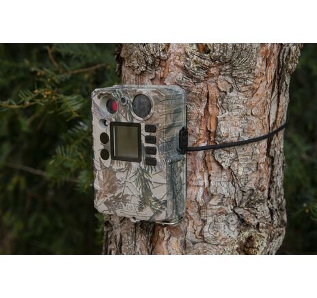 Fotopasca TETRAO Strix 18 27 Mpx 940nm, image-8