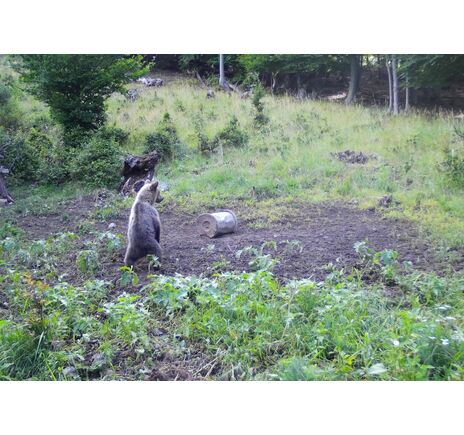 Fotopasca TETRAO Spromise S328 30Mpx 940nm MMS/4G - O2 SIM karta ZADARMO, image-5