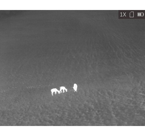 Termovízia TETRAO Bubo H-35 PRO Wi-Fi 50Hz detekcia na 3157 m, image-7