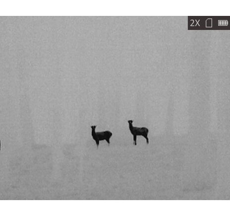 Termovízia TETRAO Bubo H-35 PRO Wi-Fi 50Hz detekcia na 3157 m, image-9