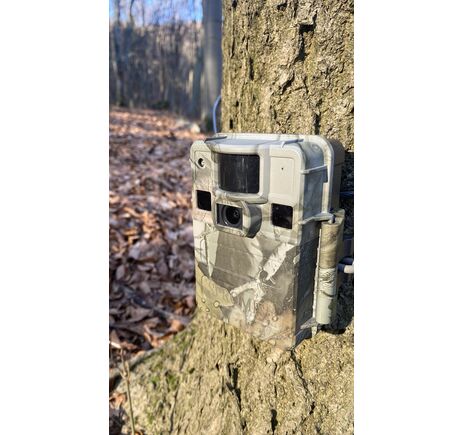 Fotopasca TETRAO S68 36 Mpx 940 nm - 2K video, image-16