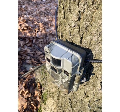 Fotopasca TETRAO S68 36 Mpx 940 nm - 2K video, image-17