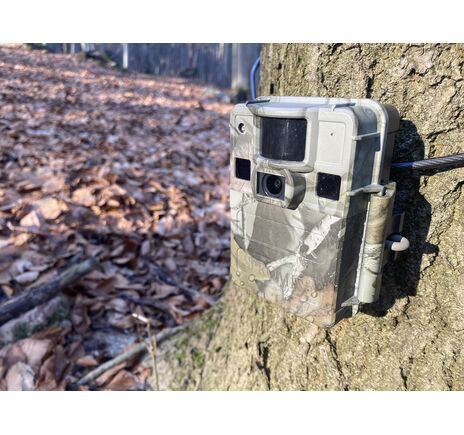 Fotopasca TETRAO S68 36 Mpx 940 nm - 2K video, image-18