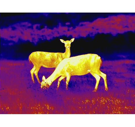 Termovízia Leica Calonox View - detekcia na 3000 m, image-9