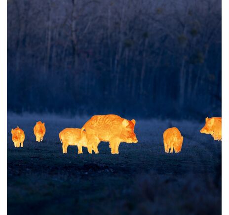 Termovízna predsádka Leica Calonox Sight 2v1 - detekcia na 2000 m, image-14