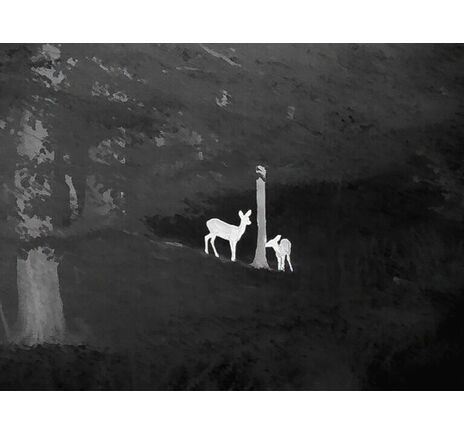 Termovízna predsádka Leica Calonox Sight 2v1 - detekcia na 2000 m, image-7