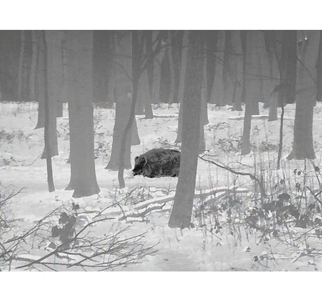 Termovízna predsádka Leica Calonox Sight 2v1 - detekcia na 2000 m, image-8