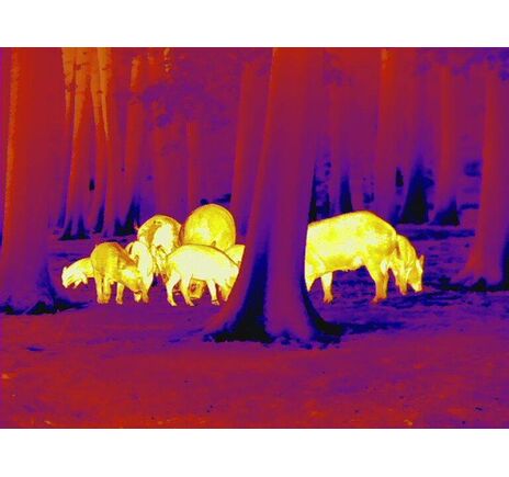 Termovízna predsádka Leica Calonox Sight 2v1 - detekcia na 2000 m, image-9