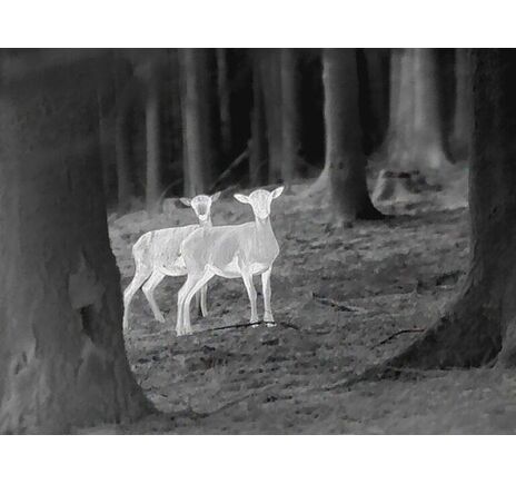 Termovízna predsádka Leica Calonox Sight 2v1 - detekcia na 2000 m, image-10