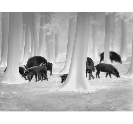 Termovízna predsádka Leica Calonox Sight 2v1 - detekcia na 2000 m, image-12