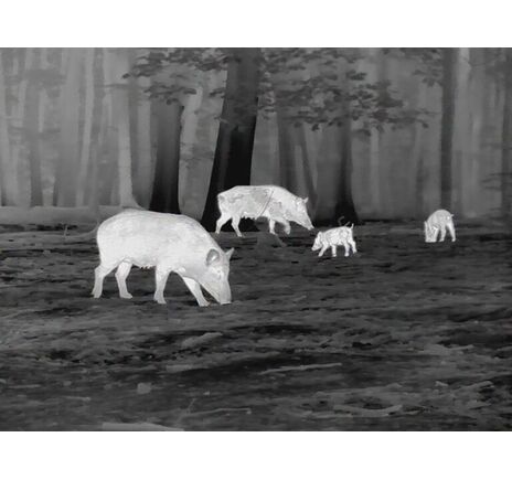 Termovízna predsádka Leica Calonox Sight 2v1 - detekcia na 2000 m, image-13